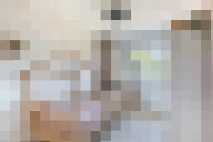 Rietgansstraat 11 Strijen thumbnail 21