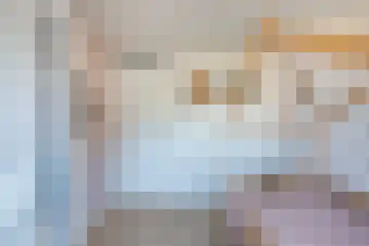 Rietgansstraat 11 Strijen thumbnail 22