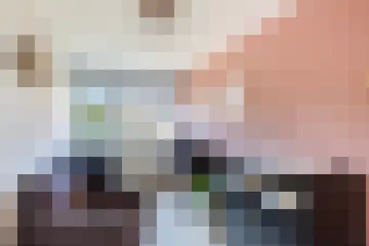 Rietgansstraat 11 Strijen thumbnail 23