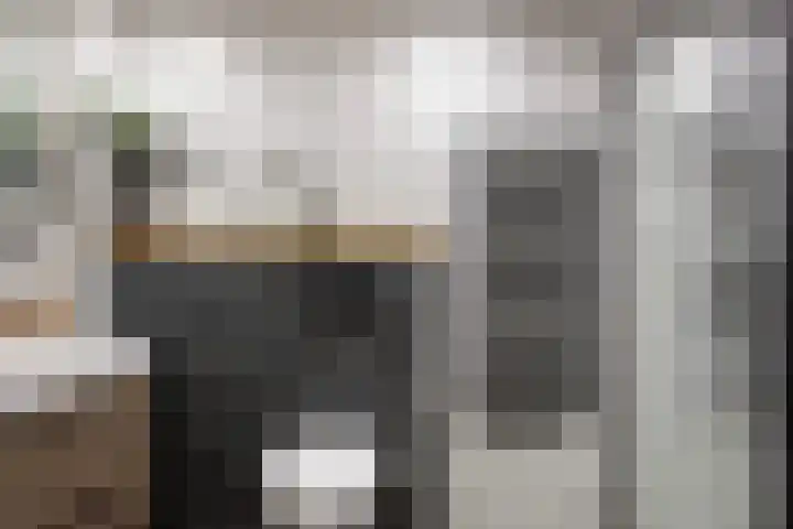 Rietgansstraat 11 Strijen thumbnail 25