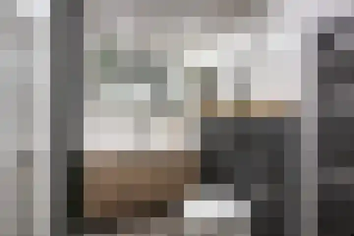 Rietgansstraat 11 Strijen thumbnail 26