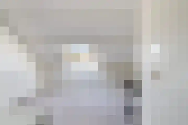 Rietgansstraat 11 Strijen thumbnail 30