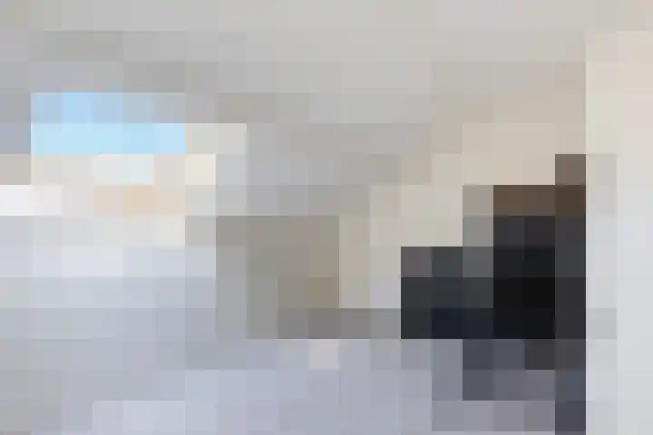 Rietgansstraat 11 Strijen thumbnail 31