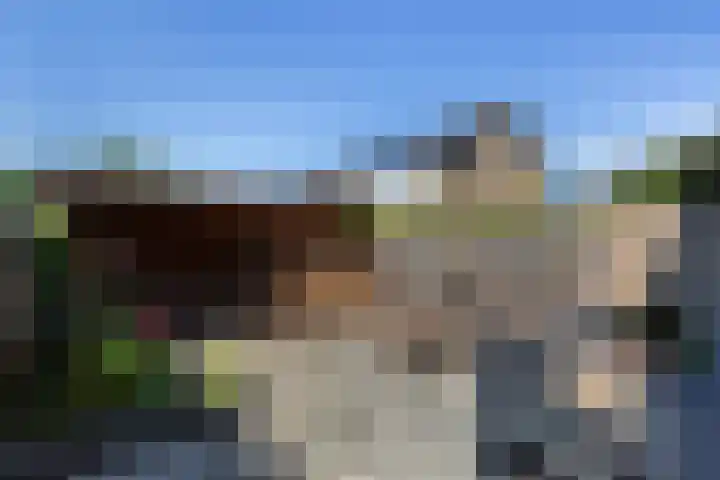 Rietgansstraat 11 Strijen thumbnail 33