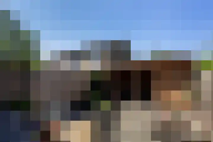Rietgansstraat 11 Strijen thumbnail 34