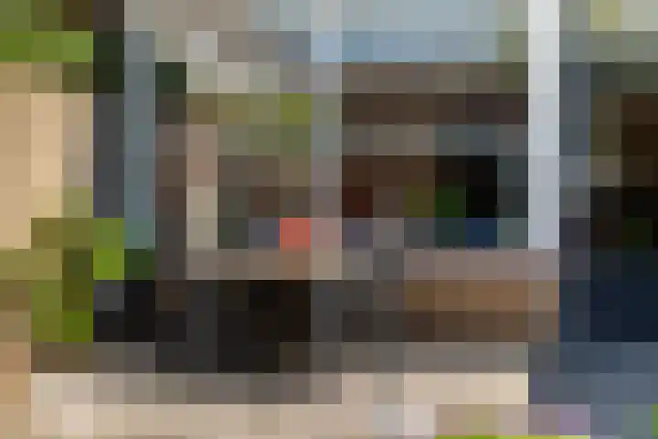 Rietgansstraat 11 Strijen thumbnail 35