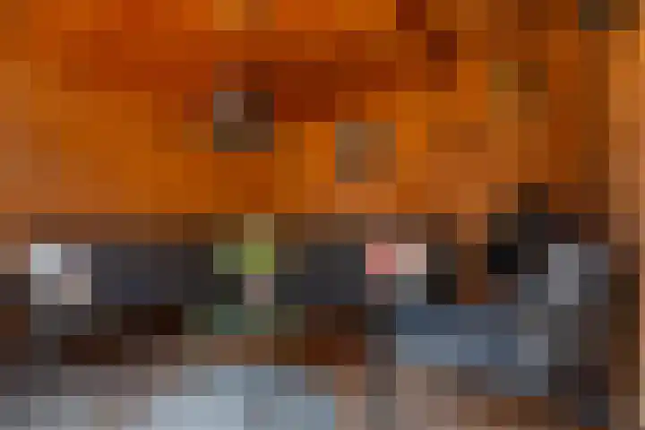 Rietgansstraat 11 Strijen thumbnail 37