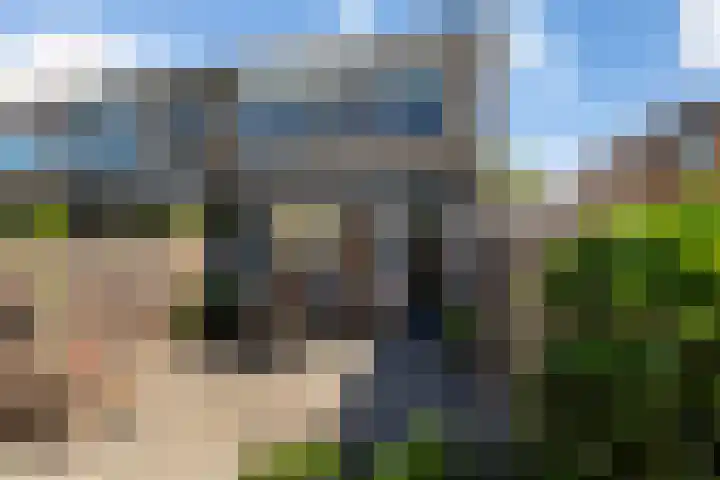 Rietgansstraat 11 Strijen thumbnail 38