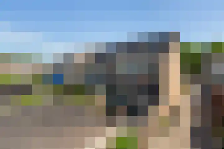 Rietgansstraat 11 Strijen thumbnail 39