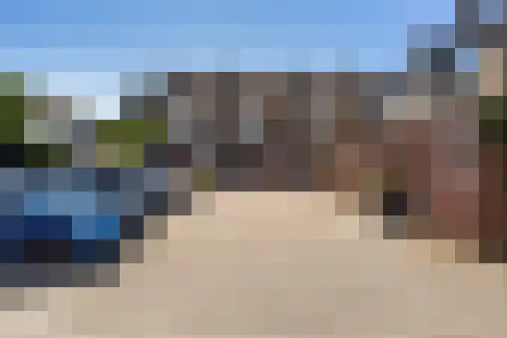 Rietgansstraat 11 Strijen thumbnail 41