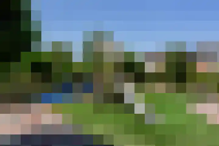 Rietgansstraat 11 Strijen thumbnail 42