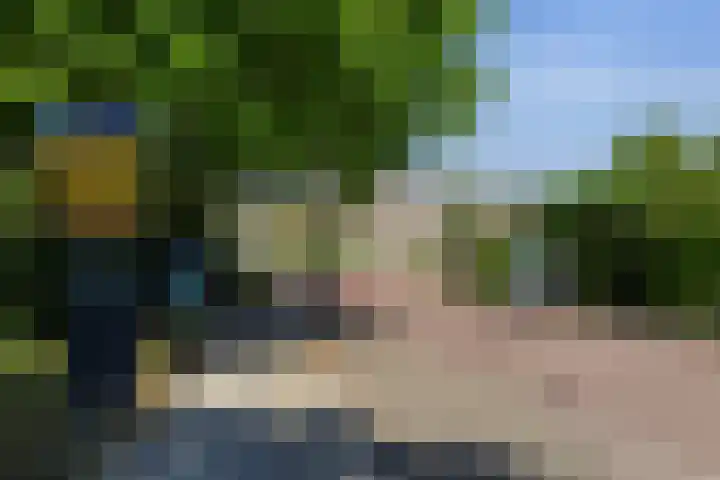Rietgansstraat 11 Strijen thumbnail 43
