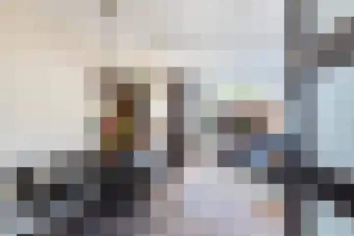 Rietgansstraat 11 Strijen thumbnail 5