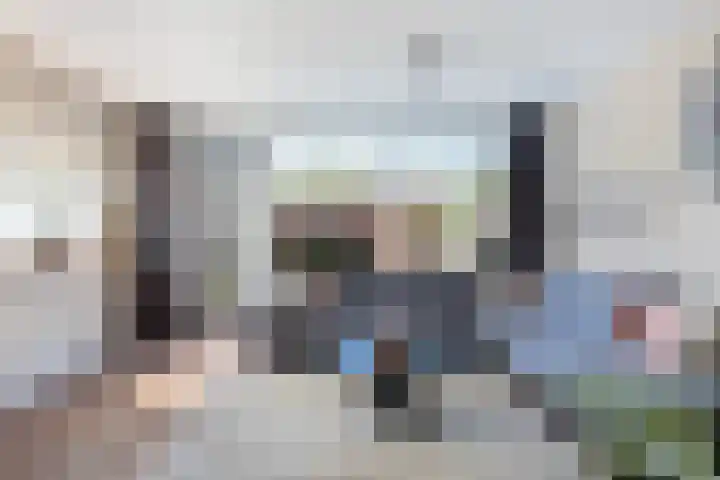 Rietgansstraat 11 Strijen thumbnail 6