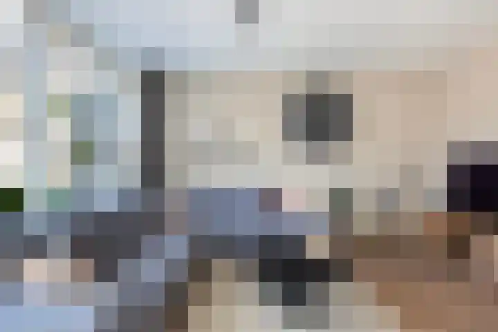 Rietgansstraat 11 Strijen thumbnail 9