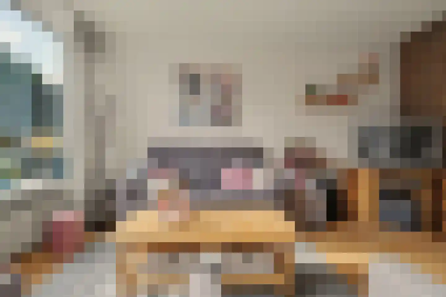 Rietgansstraat 25 Strijen thumbnail 11