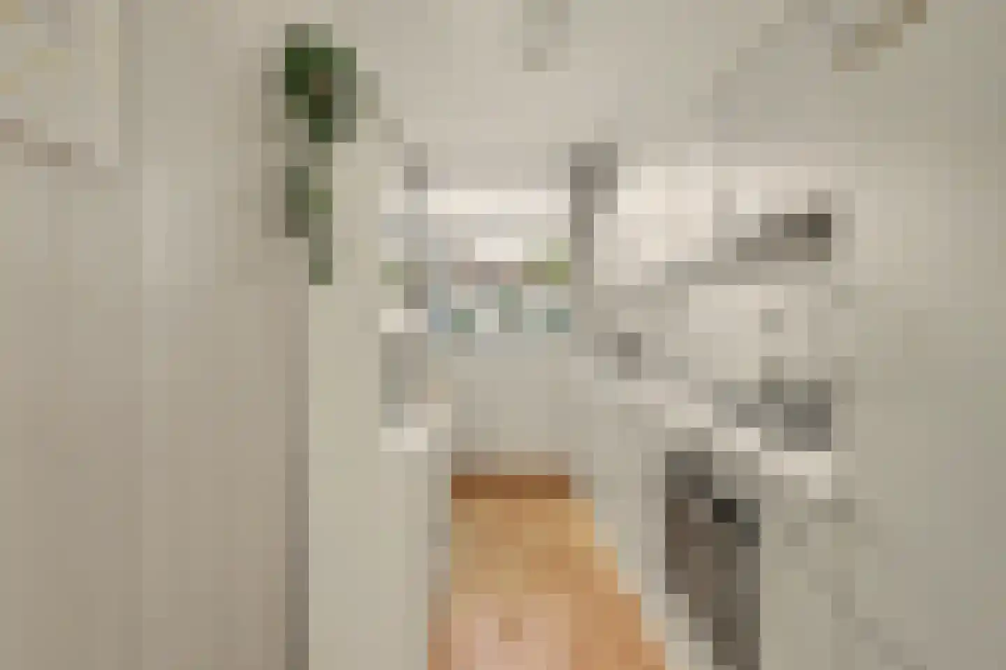 Rietgansstraat 25 Strijen thumbnail 14