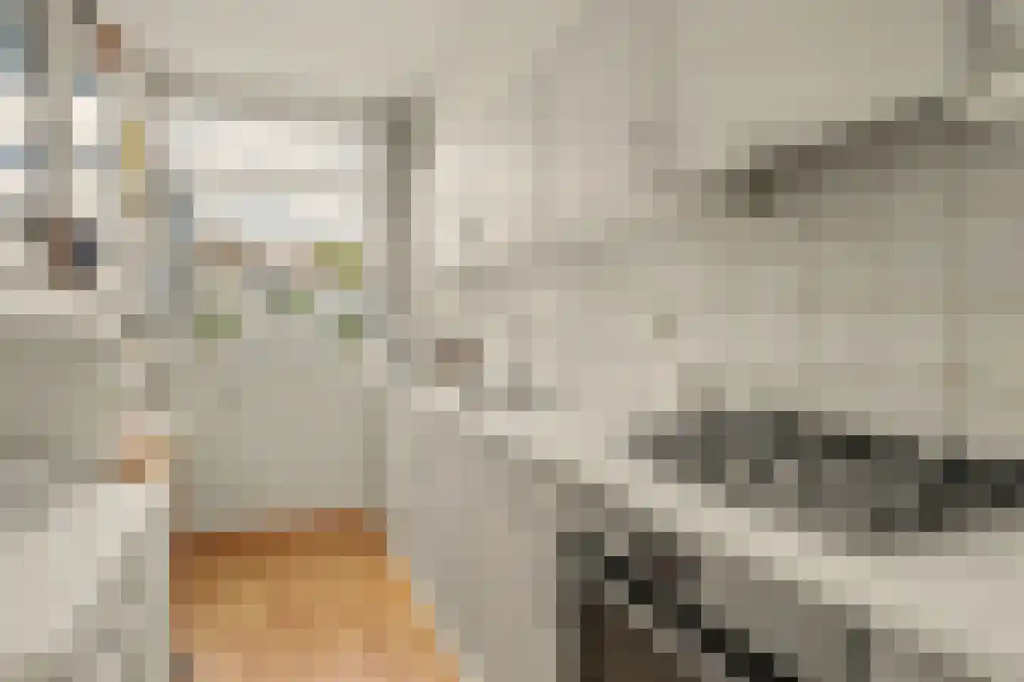 Rietgansstraat 25 Strijen thumbnail 15