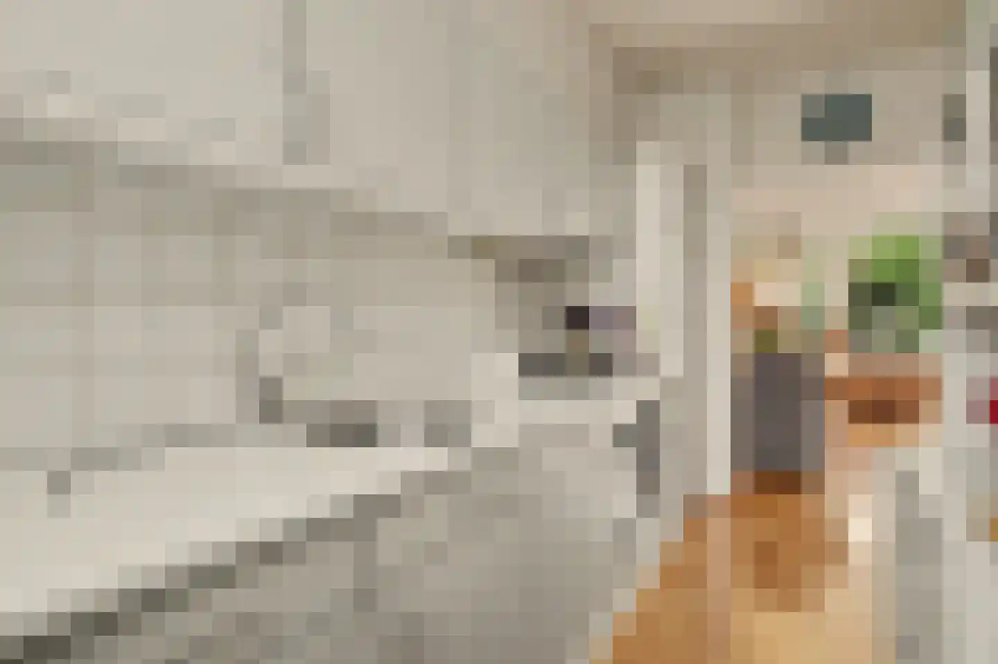 Rietgansstraat 25 Strijen thumbnail 16