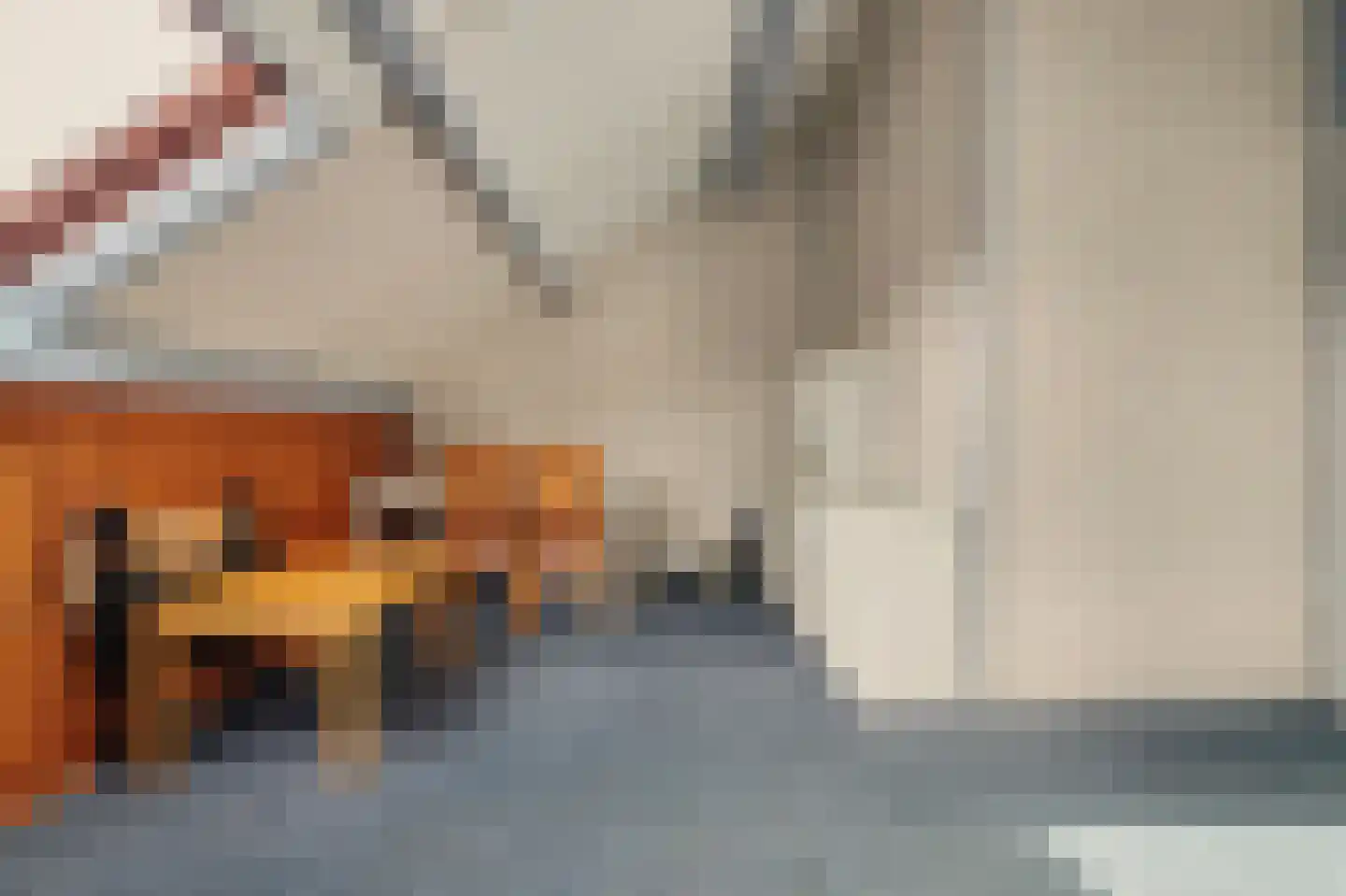 Rietgansstraat 25 Strijen thumbnail 29