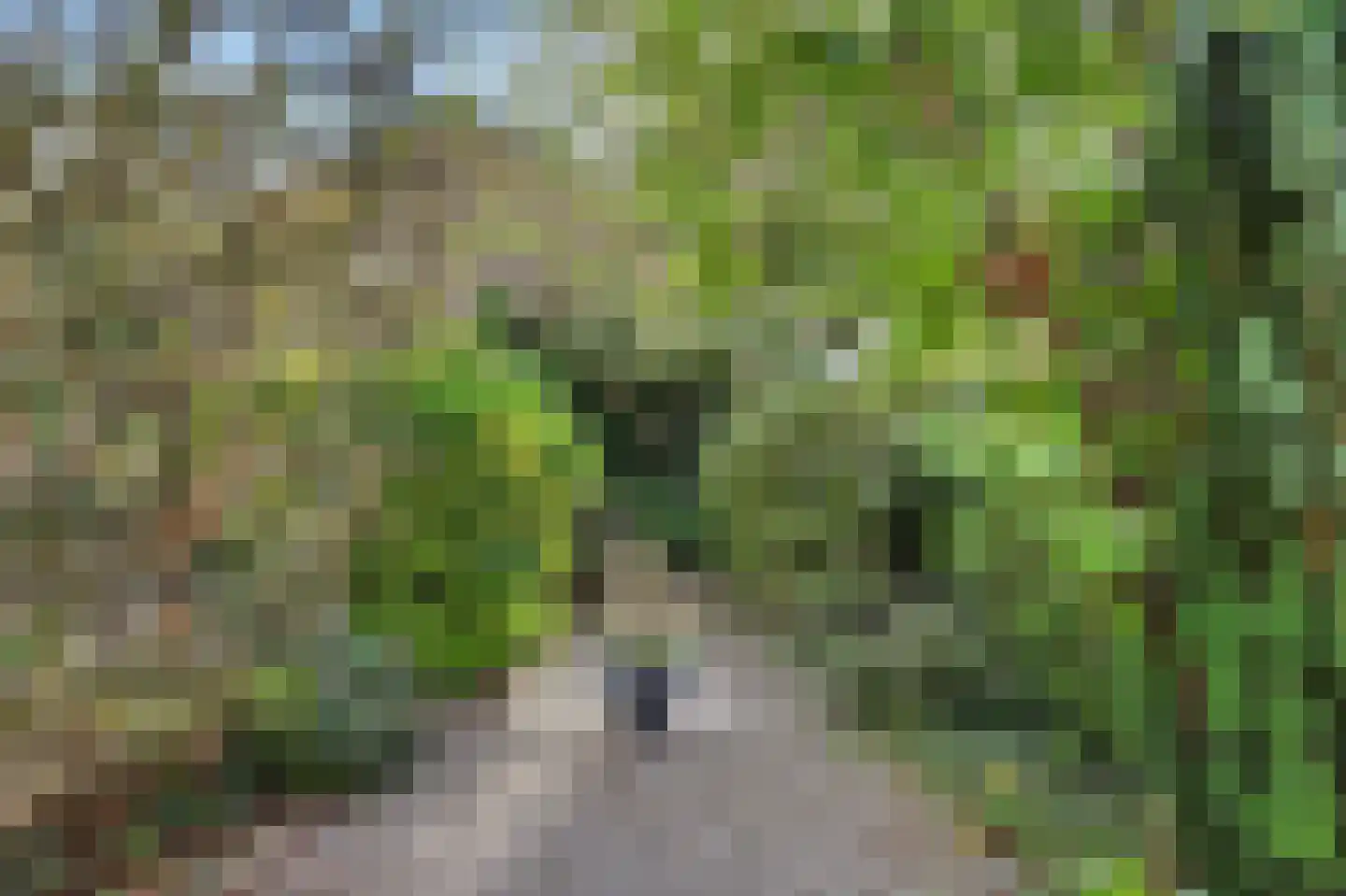 Rietgansstraat 25 Strijen thumbnail 30