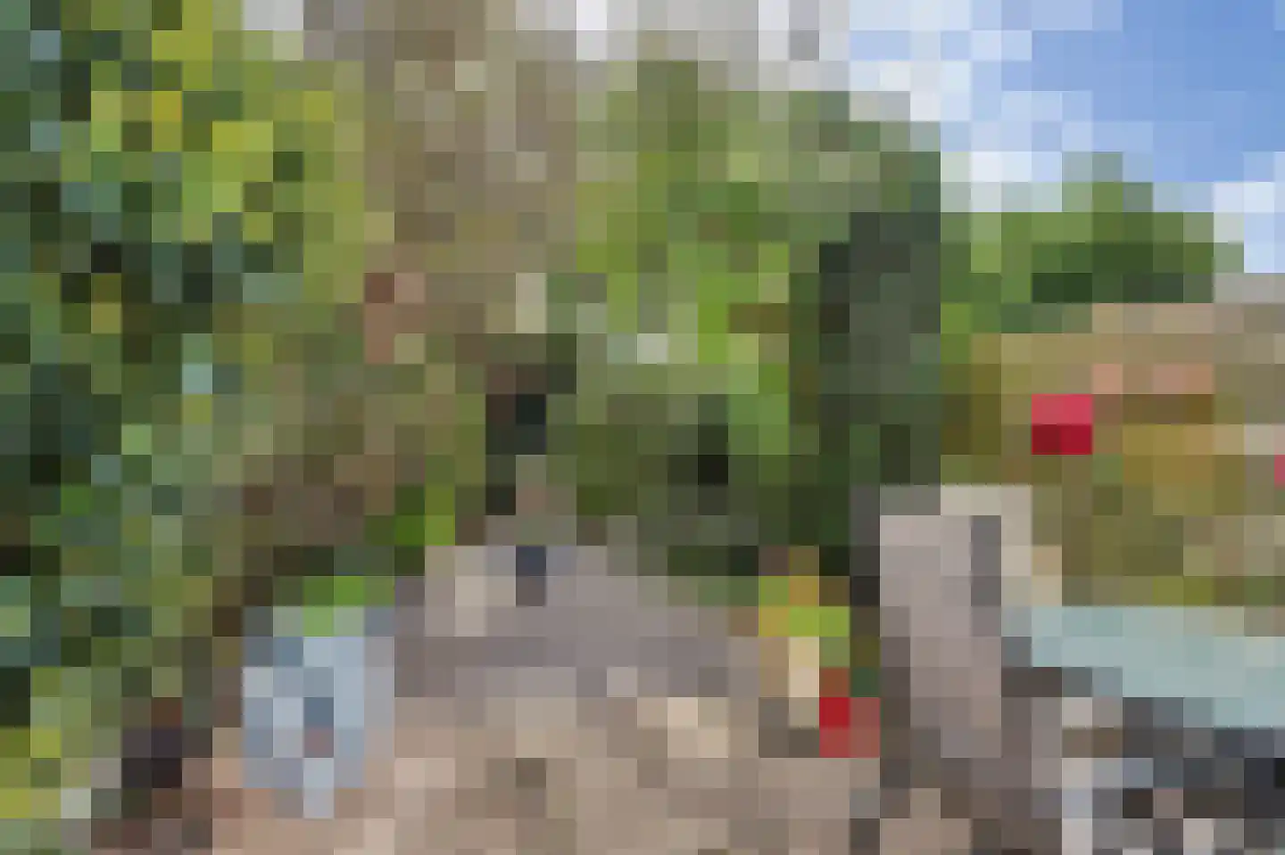 Rietgansstraat 25 Strijen thumbnail 31