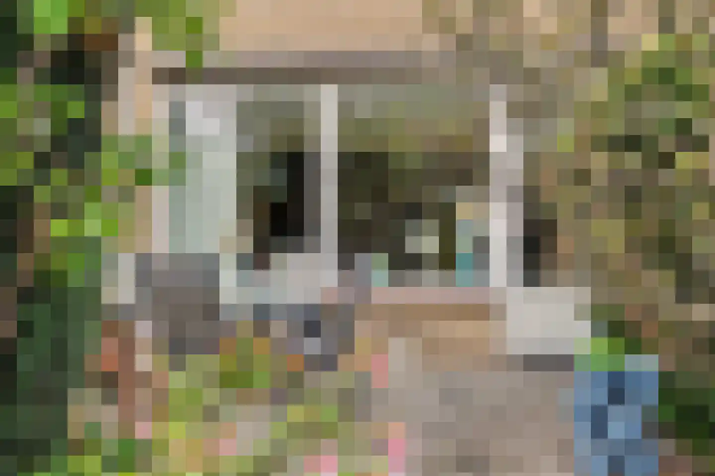 Rietgansstraat 25 Strijen thumbnail 32