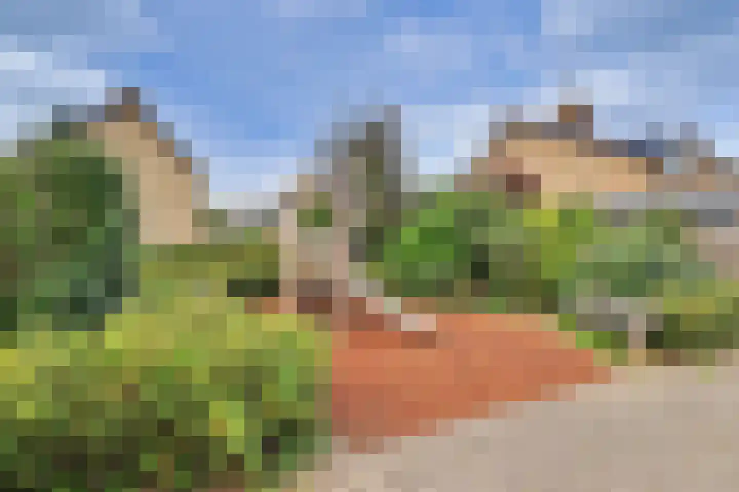 Rietgansstraat 25 Strijen thumbnail 33
