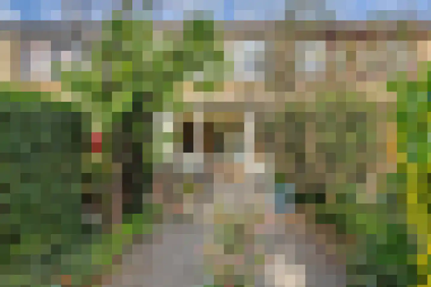 Rietgansstraat 25 Strijen thumbnail 4