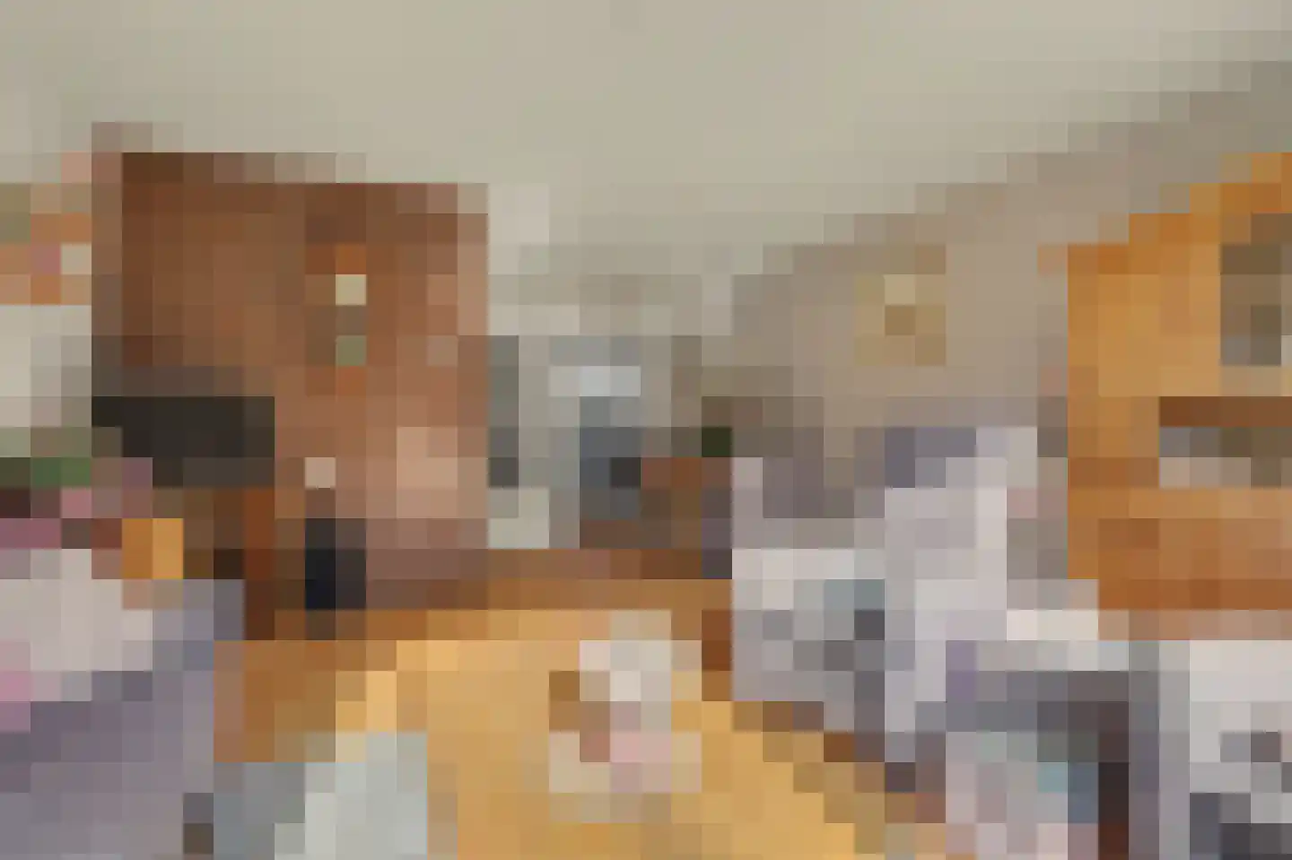 Rietgansstraat 25 Strijen thumbnail 9
