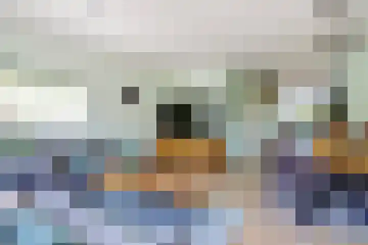 Rietgansstraat 29 Strijen thumbnail 14