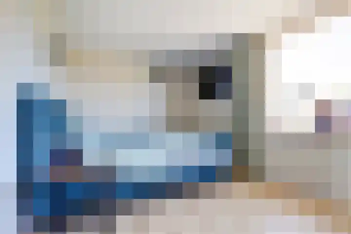 Rietgansstraat 29 Strijen thumbnail 20