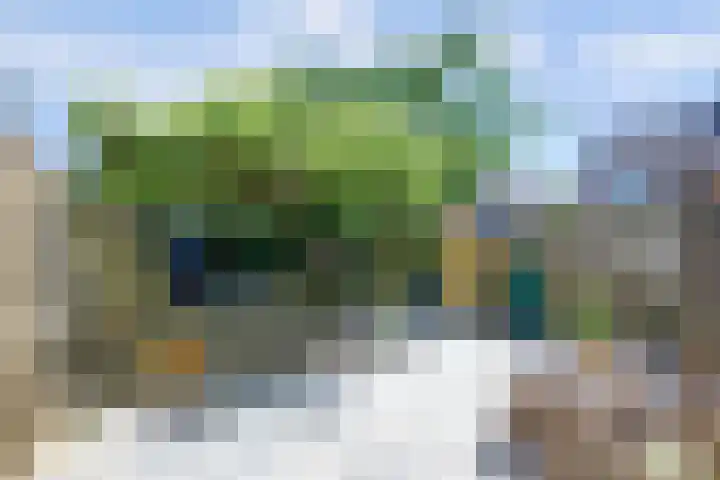 Rietgansstraat 29 Strijen thumbnail 33