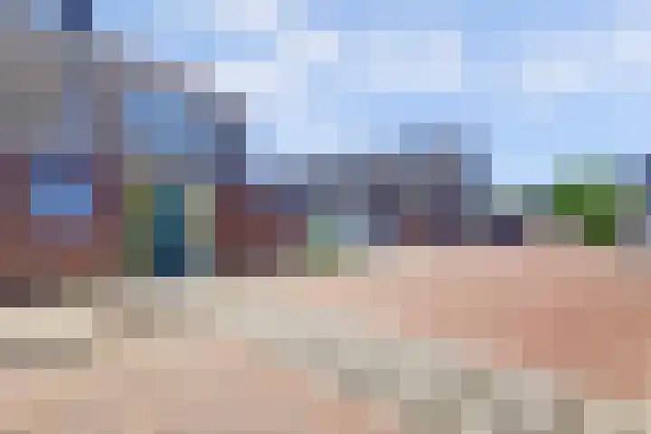 Rietgansstraat 29 Strijen thumbnail 5