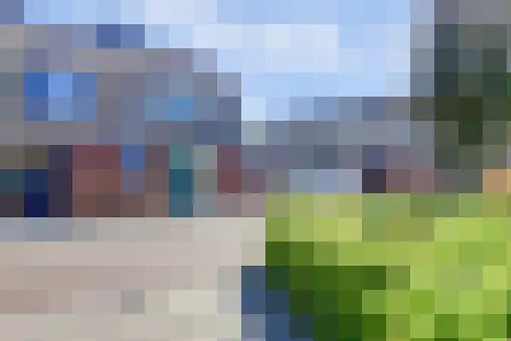 Rietgansstraat 29 Strijen thumbnail 8