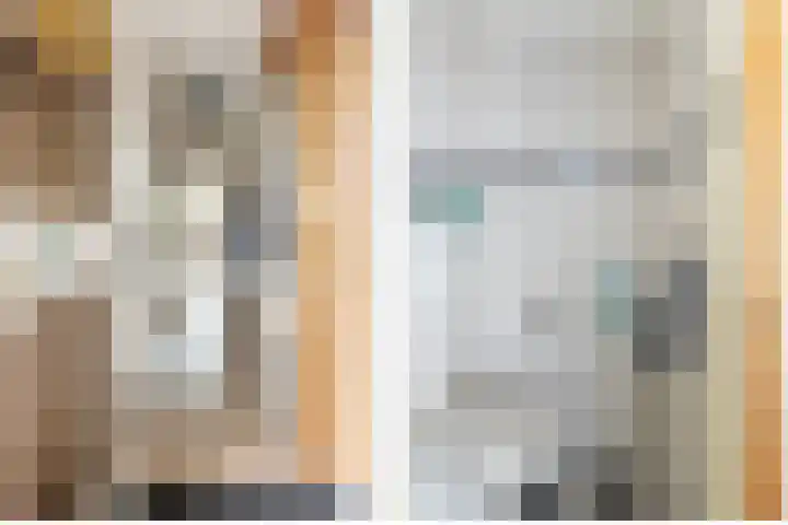 Rietgansstraat 3 Strijen thumbnail 10