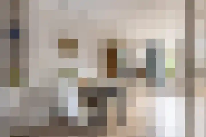 Rietgansstraat 3 Strijen thumbnail 12