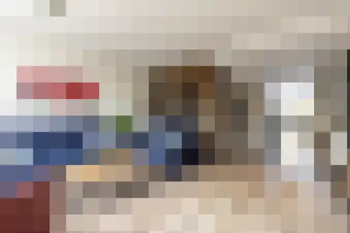 Rietgansstraat 3 Strijen thumbnail 16