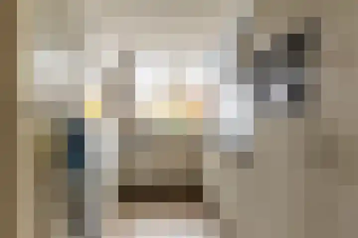 Rietgansstraat 3 Strijen thumbnail 17