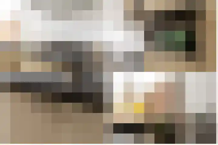 Rietgansstraat 3 Strijen thumbnail 18