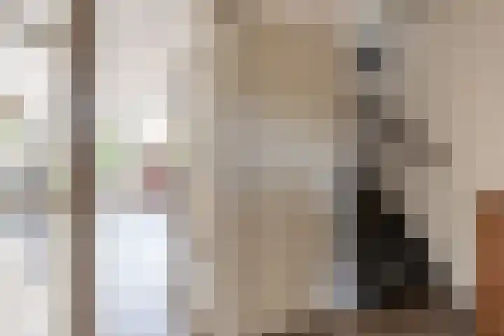 Rietgansstraat 3 Strijen thumbnail 19