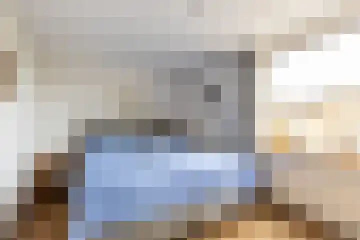 Rietgansstraat 3 Strijen thumbnail 20