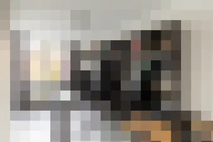 Rietgansstraat 3 Strijen thumbnail 22