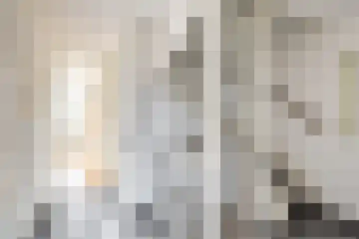 Rietgansstraat 3 Strijen thumbnail 25