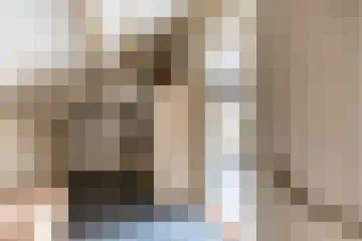 Rietgansstraat 3 Strijen thumbnail 26