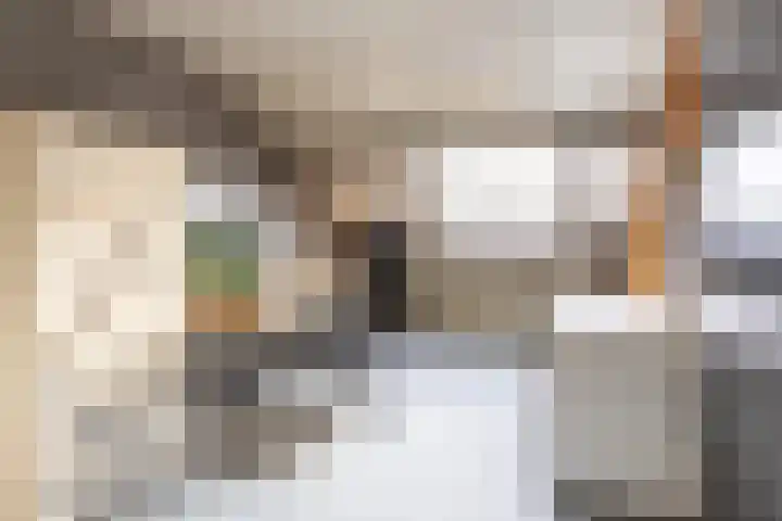 Rietgansstraat 3 Strijen thumbnail 27
