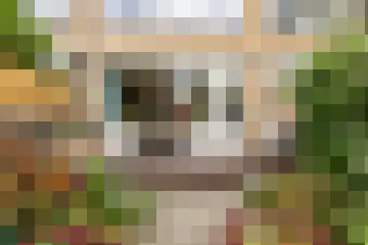 Rietgansstraat 3 Strijen thumbnail 28