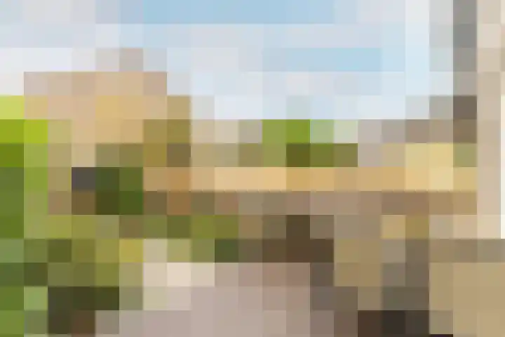 Rietgansstraat 3 Strijen thumbnail 29