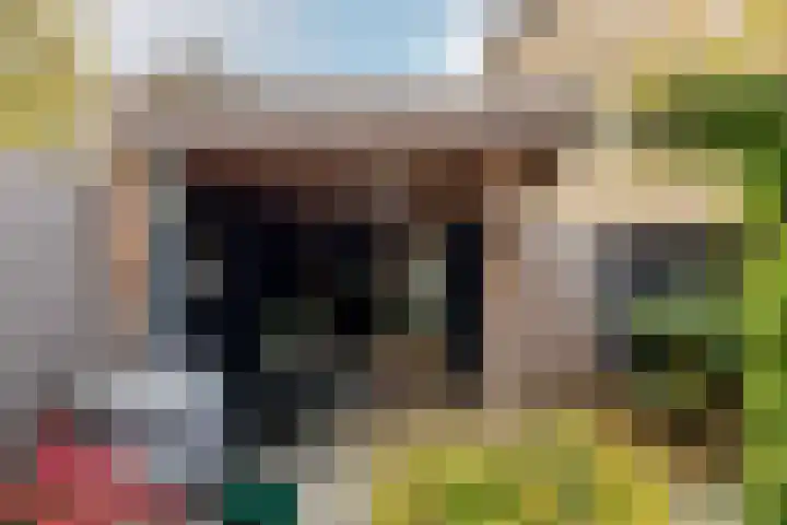 Rietgansstraat 3 Strijen thumbnail 31