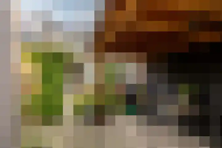 Rietgansstraat 3 Strijen thumbnail 33